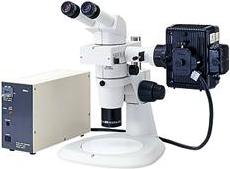 SMZ1000体视显微镜