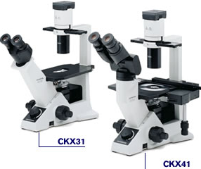 奥林巴斯CKX31/CKX41倒置生物显微镜