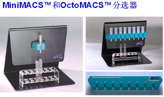 德国Miltenyi手动磁珠分选套装OctoMACS Starting Kit130-042-108