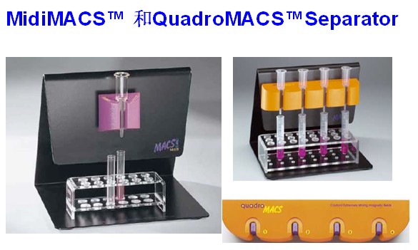 德国Miltenyi手动磁珠分选套装QuadroMACS Starting Kit 130-091-051