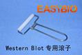 blot roller western blot滚子 WB滚筒