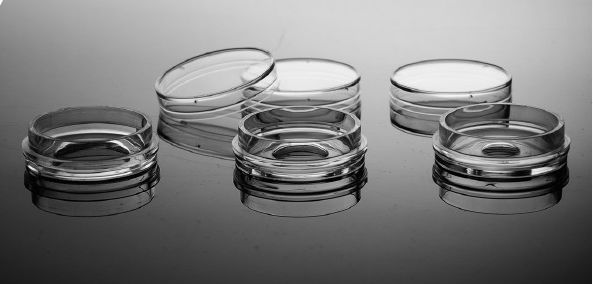 NEST玻底培养皿，玻底培养板(便于共聚焦显微镜观察)