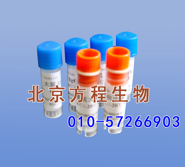 Leupeptin 亮抑酶肽