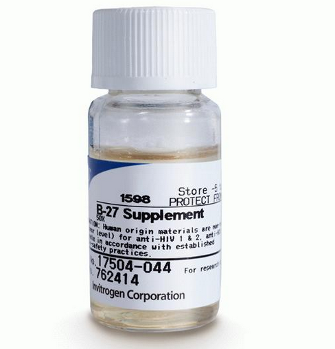 B-27&#174; Serum-Free Supplement (50X), Liquid