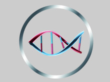 常规Cas9质粒构建试剂盒