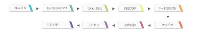 MeDIP-Seq及分析