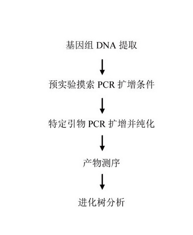 微生物菌株鉴定服务