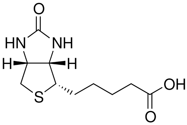 D-生物素