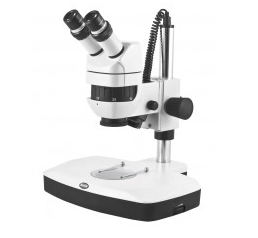 Motic解剖显微镜
