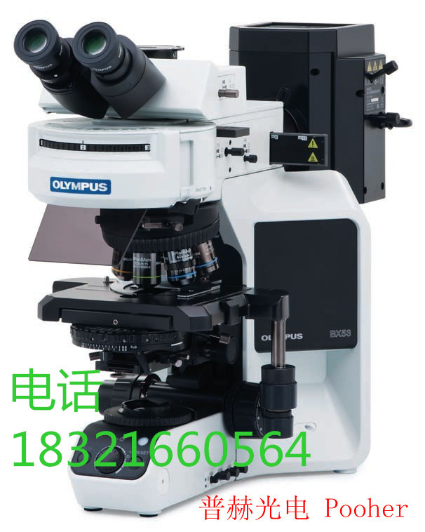 奥林巴斯荧光倒置显微镜CKX41