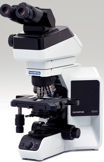 日本奥林巴斯荧光正置显微镜BX43