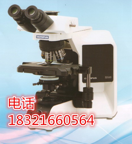 日本奥林帕斯荧光显微镜BX53TR-32FB3-F01