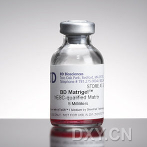 BD基质胶/基质膜(BD:354234)