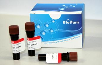 41003-biotium gelred EB替代品
