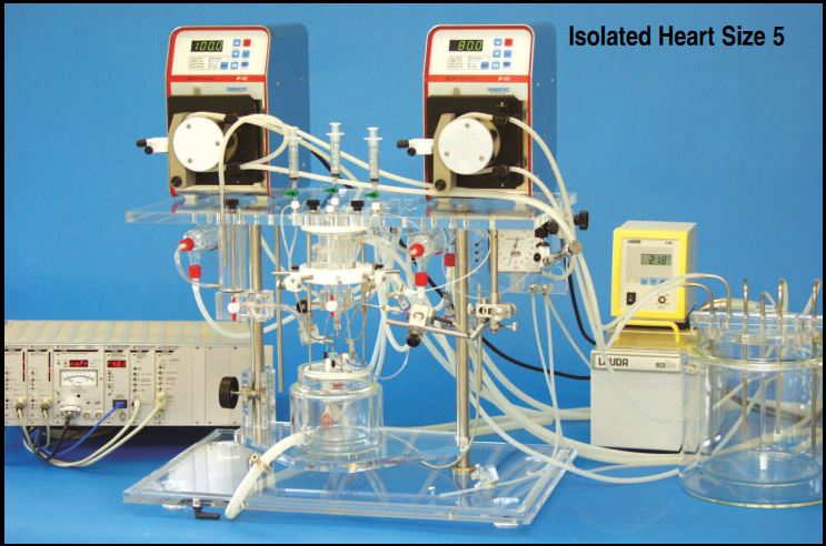 IH5离体心脏灌流系统