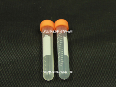 10ml 离心管 圆底扣盖