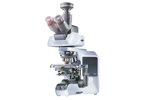 奥林巴斯显微镜BX53