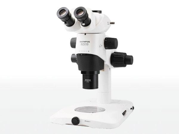 体视显微镜