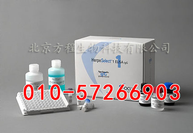 人泛素 ELISA试剂盒/人Ub指标定量检测