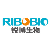 siR-Ribo&#8482; Negative Control, Standard, 2nmol
