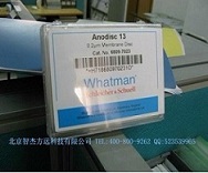 Whatman无机膜 (氧化铝膜),13mm 0.2um,无支持环