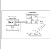 温度控制器Thermocouple Temperature Controllers