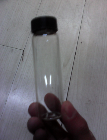 10ml玻璃螺口样品瓶