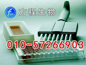 大鼠维生素D ELISA北京检测/大鼠VD ELISA试剂盒说明书