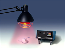 Physitemp  TCAT-2 温度控制器