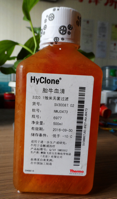 Hyclone南美胎牛血清SV30087.02