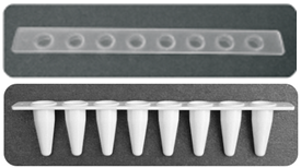 伯乐BIO-RAD CFX PCR仪专用八连管