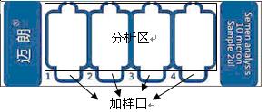 四腔室一次性精子计数板