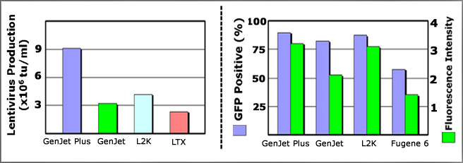 GenJet Plus体外DNA 转染试剂