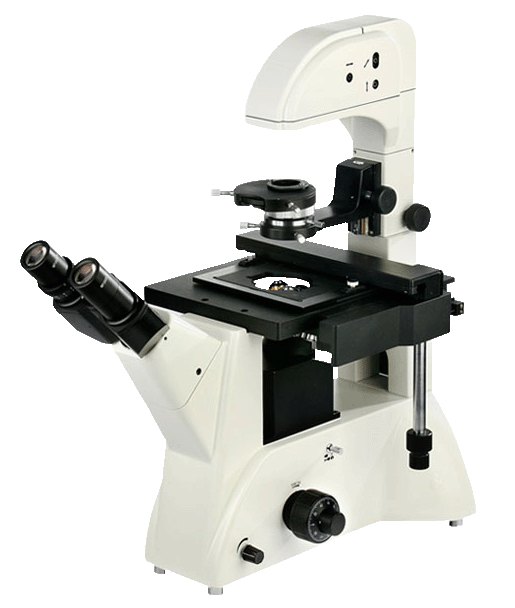 倒置生物显微镜 XDS-70