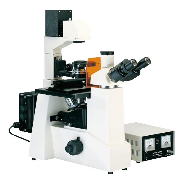 倒置荧光显微镜 XDY-100