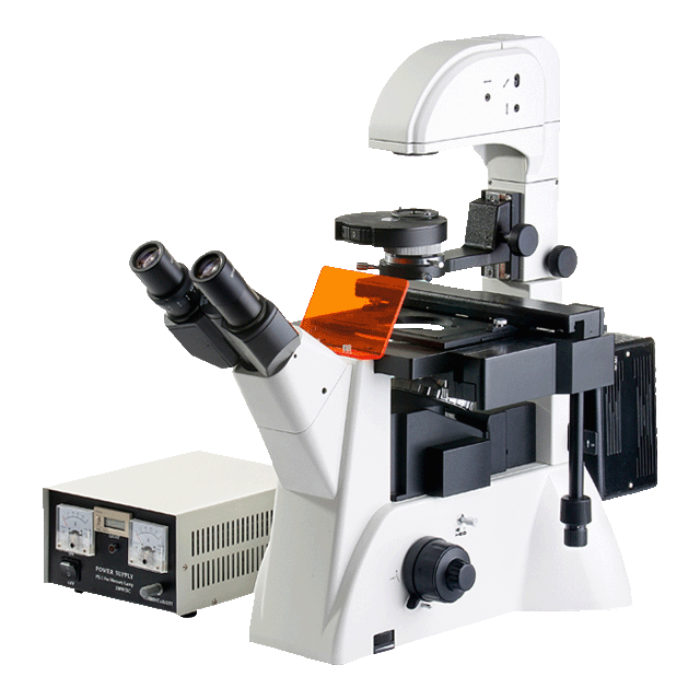 倒置荧光显微镜 XDY-200