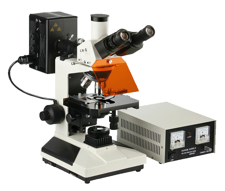 荧光显微镜 XYL-13