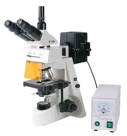 荧光显微镜 XYL-460T