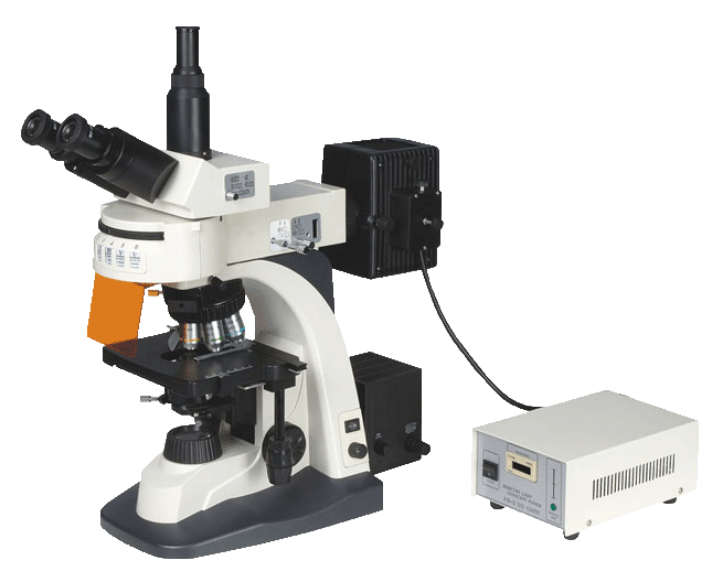 荧光显微镜 XYL-580AT