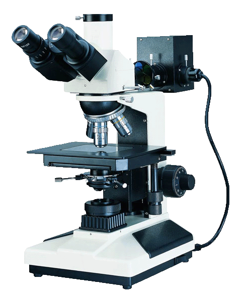 正置金相显微镜BX12B