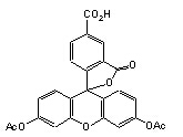 5(6)-carboxyfluorescein diacetate