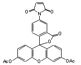 5-(N-maleimido)fluorescein diacetate