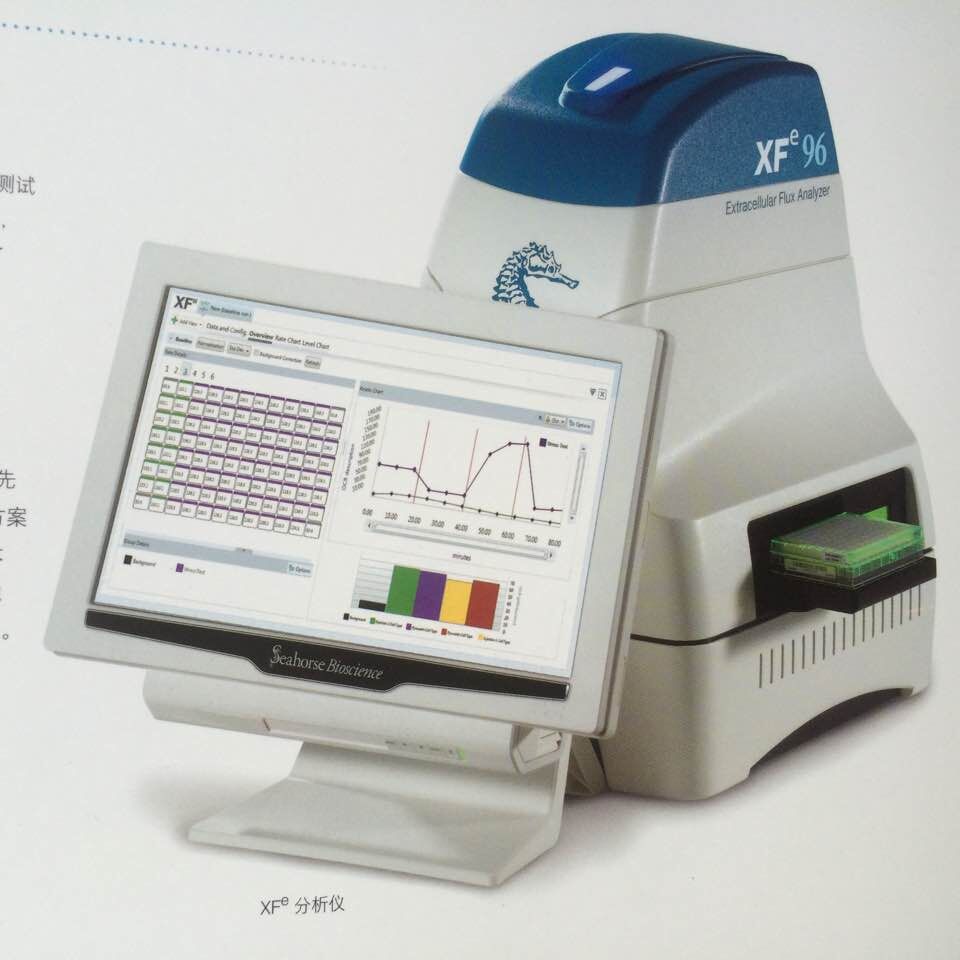 Seahorse细胞代谢分析