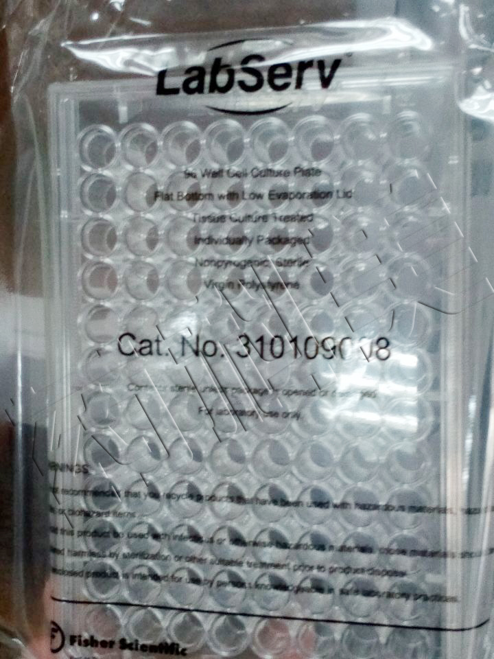 LabServ 96孔细胞培养板，TC处理，平底，无热源，无菌，1/包，100/箱
