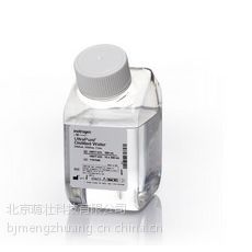 美国ABI UltraPure DNase/RNase-Free Water