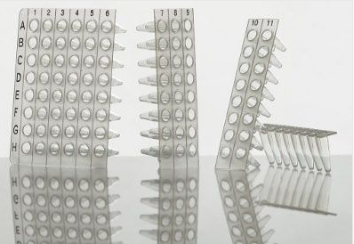 可拆分96孔PCR板，无裙边，透明