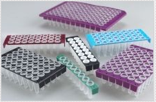 可拆分96孔PCR板，半裙边，透明，蓝色框架