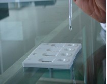 河豚毒素快速检测试剂盒