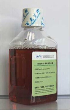 CellMax标准胎牛血清