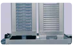 96-Well Low Profile Microplate